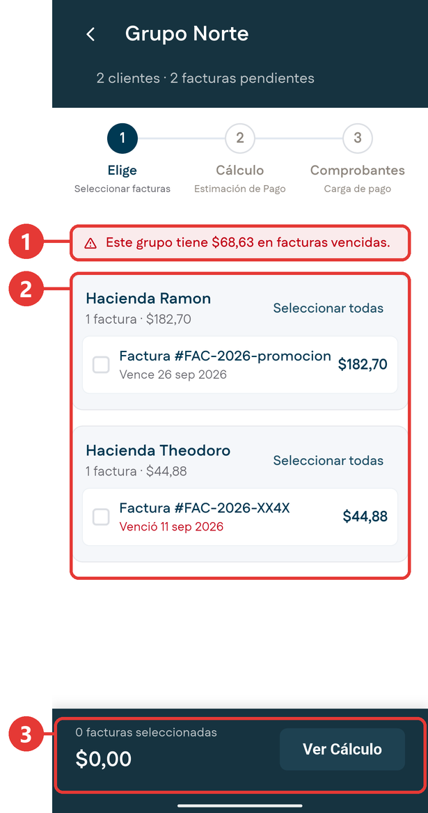 Facturas del grupo