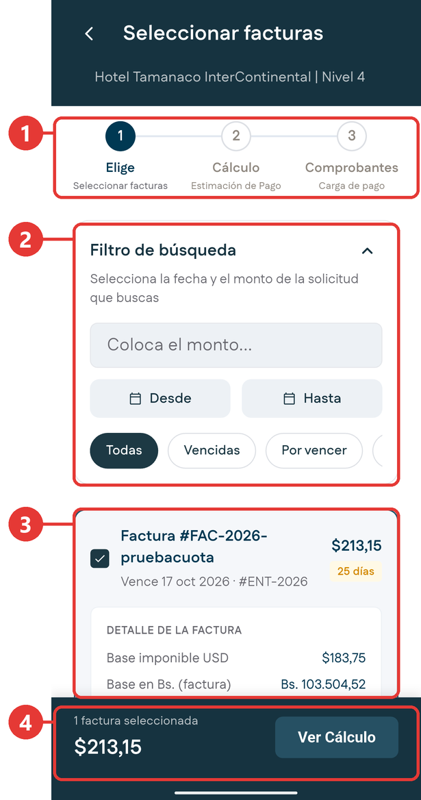 Paso 1: elegir facturas