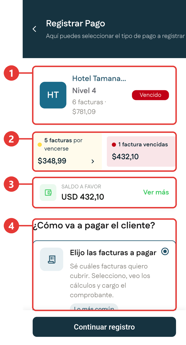 Registrar pago