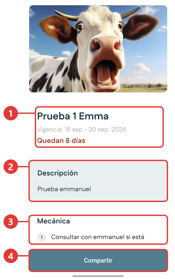 Detalle de la promoción